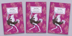Three front covers of the Ostriches: Ten Poems about My Dad poetry pamphlet on a decorative background
