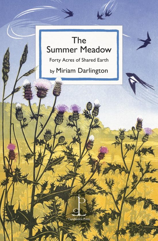 Front cover of the The Summer Meadow: Forty Acres of Shared Earth - by Miriam Darlington poetry pamphlet