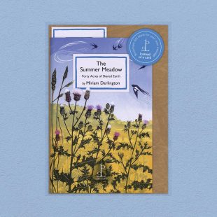 Pack image of the The Summer Meadow: Forty Acres of Shared Earth - by Miriam Darlington poetry pamphlet on a decorative background