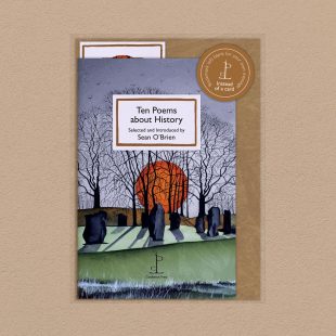 Pack image of the Ten Poems about History poetry pamphlet on a decorative background