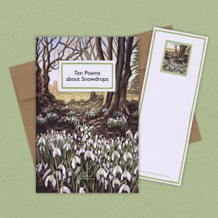 Group image of the Ten Poems about Snowdrops poetry pamphlet on a decorative background