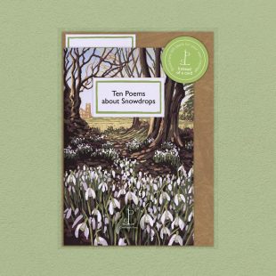 Pack image of the Ten Poems about Snowdrops poetry pamphlet on a decorative background