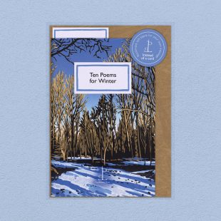 Pack image of the Ten Poems for Winter poetry pamphlet on a decorative background