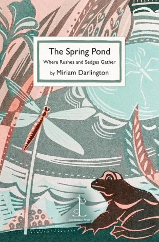 Front cover of the The Spring Pond: Where Rushes and Sedges Gather - by Miriam Darlington poetry pamphlet